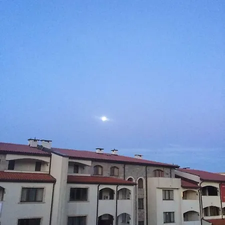 Belle A Svety Vlas