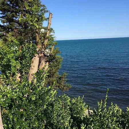 Belle A Svety Vlas * Święty Włas